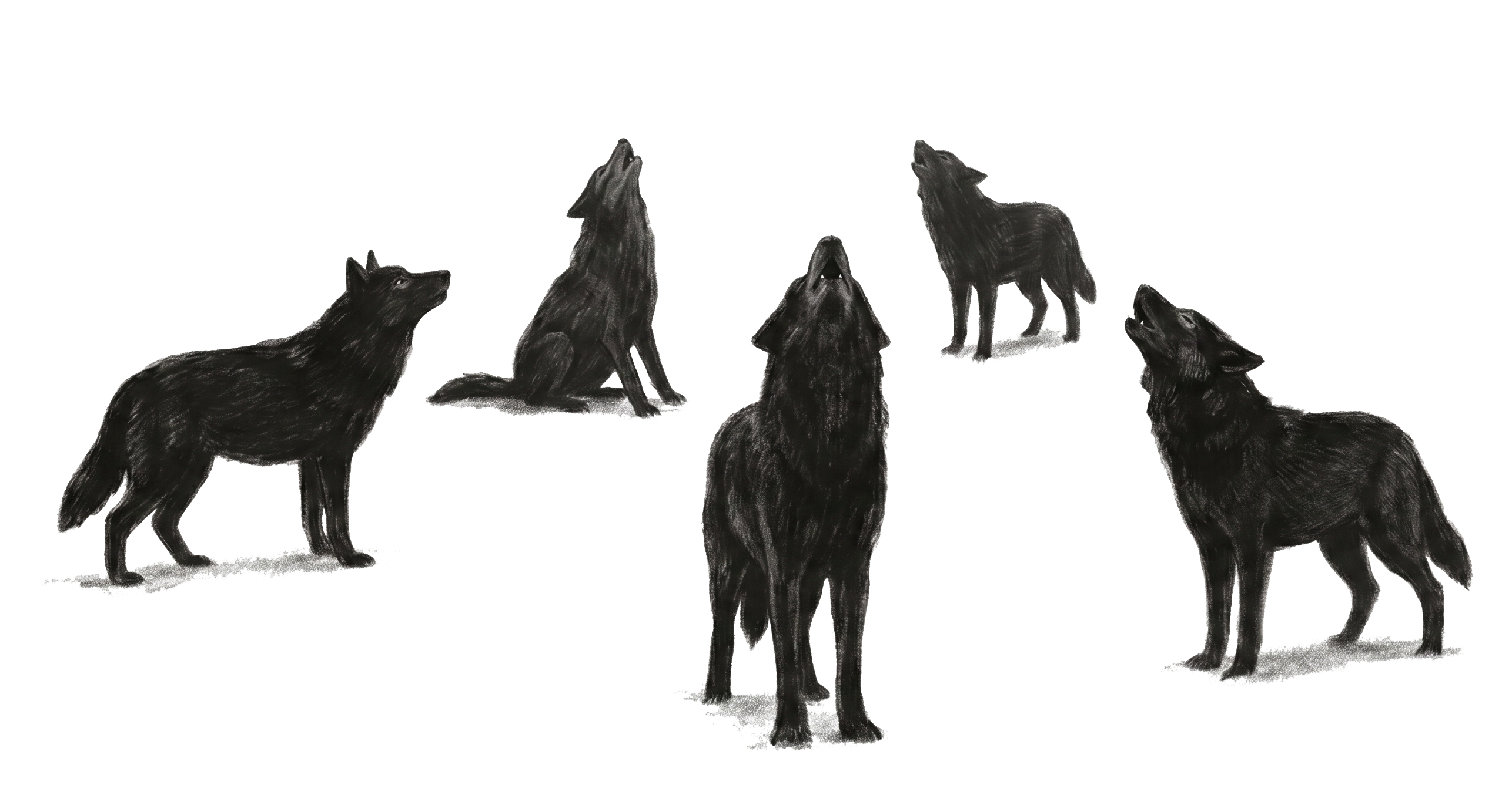 LOUP — 個性的な能力で構成された群れ